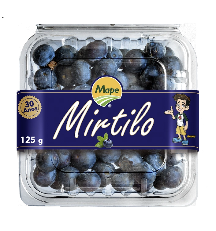 Mirtilo Congelado